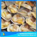 fresh frozen surf clam in shell with best price and services